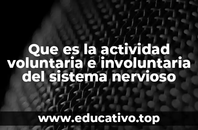Que es la actividad voluntaria e involuntaria del sistema nervioso
