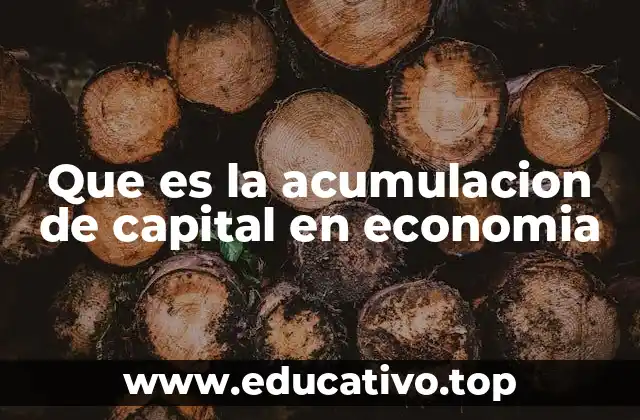 Que es la acumulacion de capital en economia