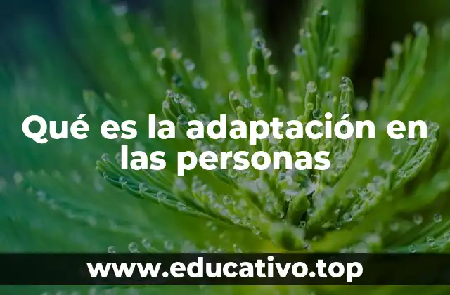 Qué es la adaptación en las personas