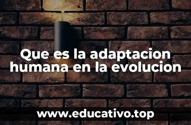 La evolución como respuesta a desafíos ambientales