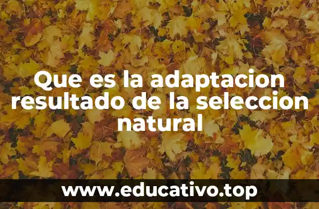 Que es la adaptacion resultado de la seleccion natural