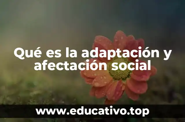 Qué es la adaptación y afectación social
