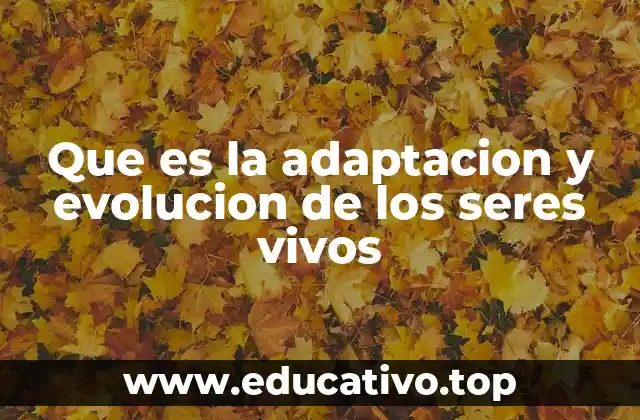 Que es la adaptacion y evolucion de los seres vivos