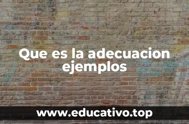 La importancia de ajustar lo ofrecido a las necesidades del entorno