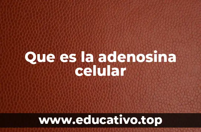 Que es la adenosina celular