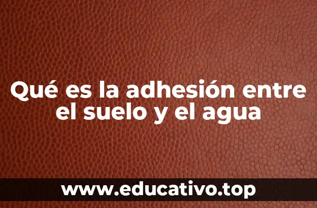 Qué es la adhesión entre el suelo y el agua
