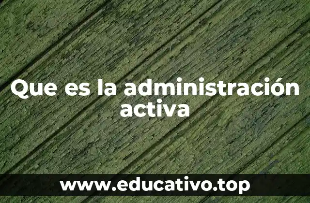 Que es la administración activa