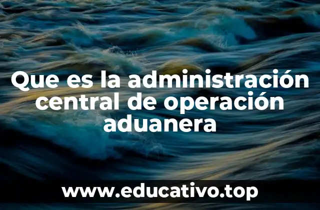 Que es la administración central de operación aduanera