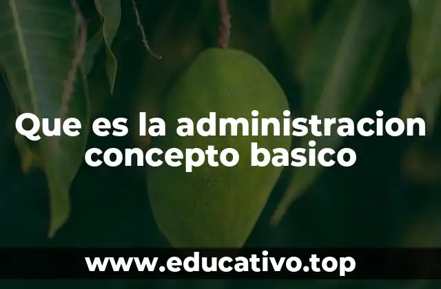 Que es la administracion concepto basico
