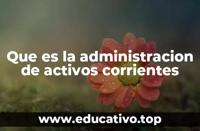 Que es la administracion de activos corrientes