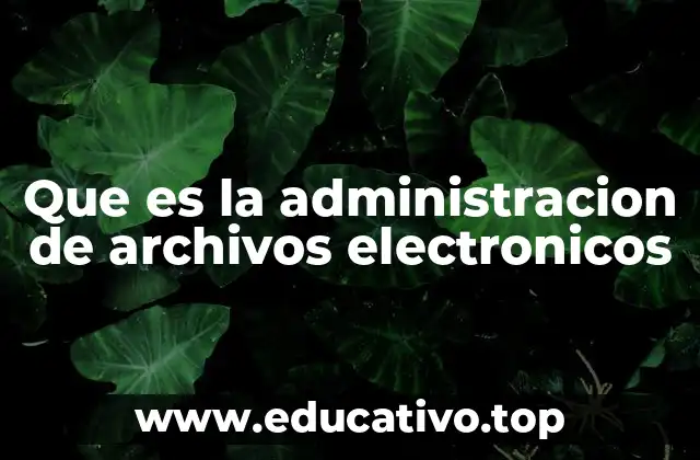 Que es la administracion de archivos electronicos