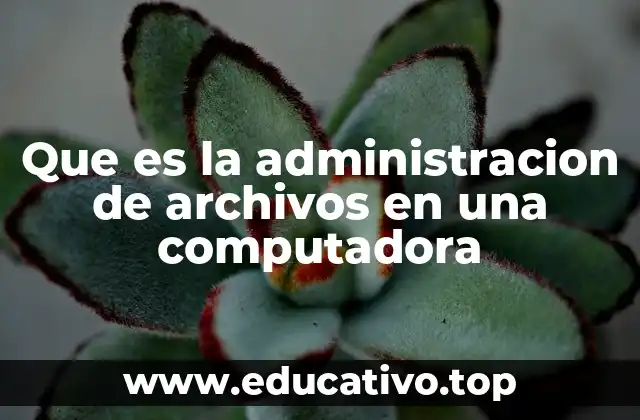 Que es la administracion de archivos en una computadora