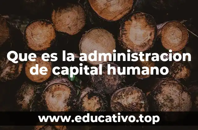 La importancia de los talentos en el desarrollo empresarial