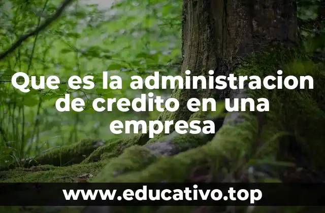 Que es la administracion de credito en una empresa