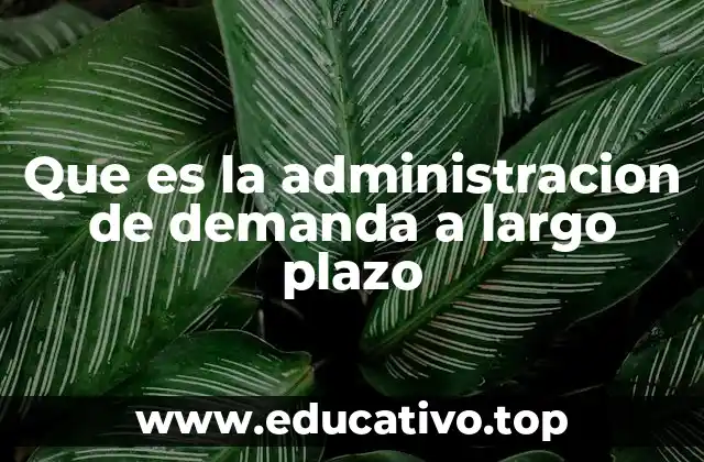 Que es la administracion de demanda a largo plazo