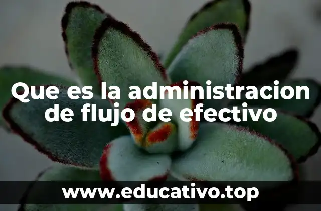 Que es la administracion de flujo de efectivo