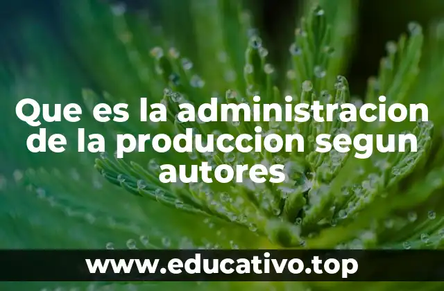 Que es la administracion de la produccion segun autores