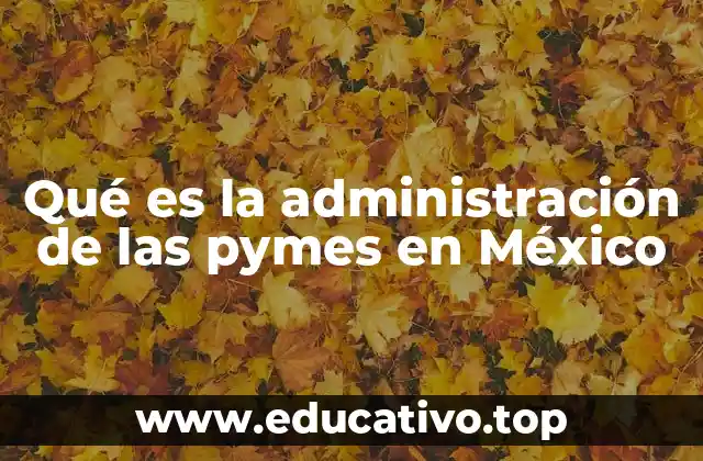 Qué es la administración de las pymes en México