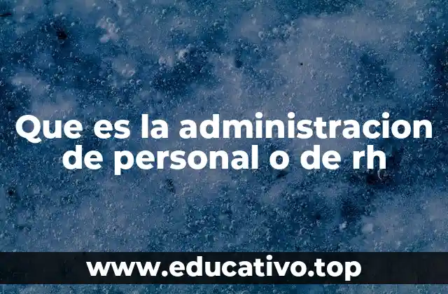 La importancia de una buena gestión del talento en las organizaciones