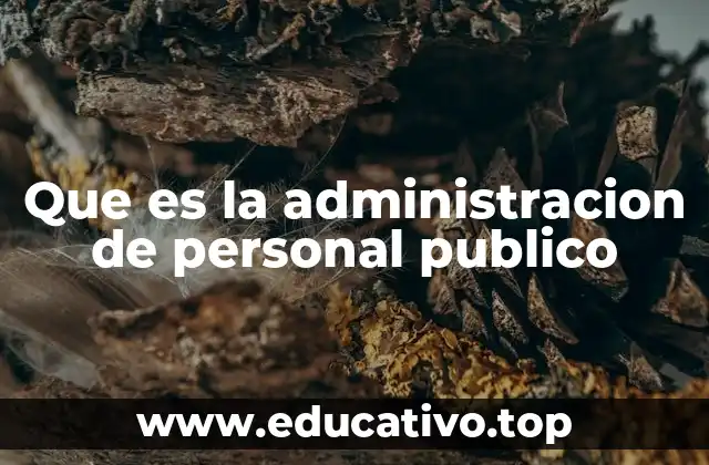 Que es la administracion de personal publico