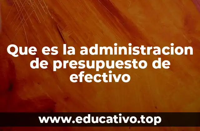 Que es la administracion de presupuesto de efectivo