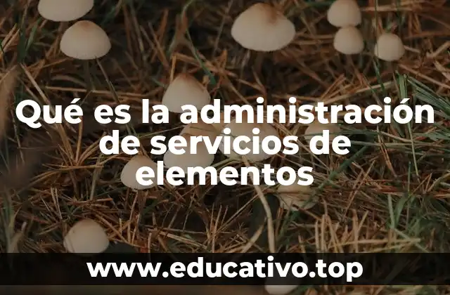 Qué es la administración de servicios de elementos
