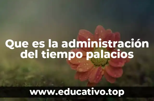 Que es la administración del tiempo palacios