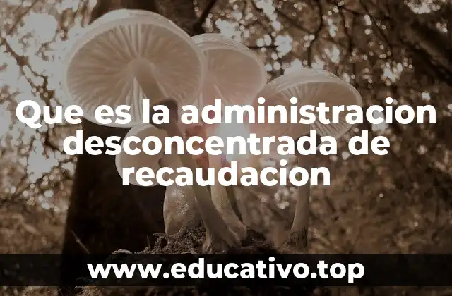Que es la administracion desconcentrada de recaudacion