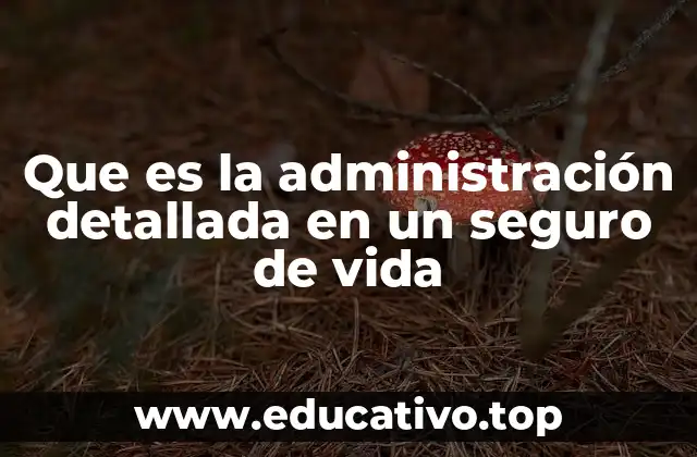 Que es la administración detallada en un seguro de vida