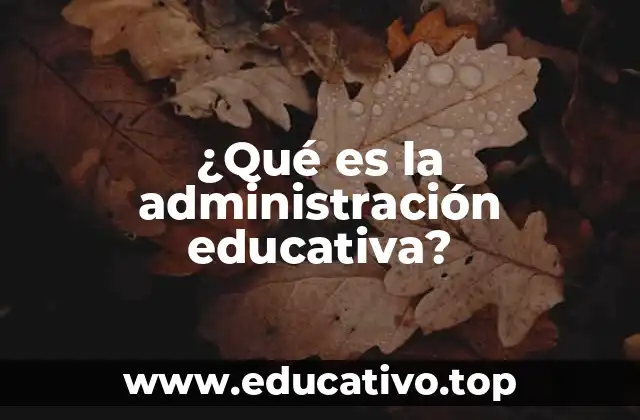 La importancia de la gestión en el ámbito escolar