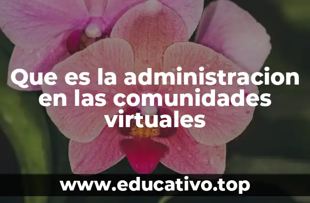 Que es la administracion en las comunidades virtuales