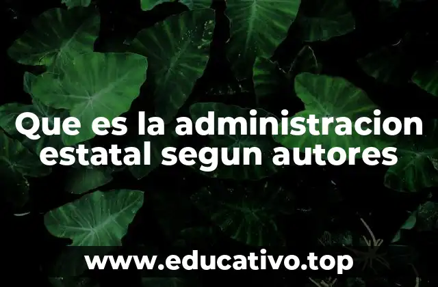 Que es la administracion estatal segun autores