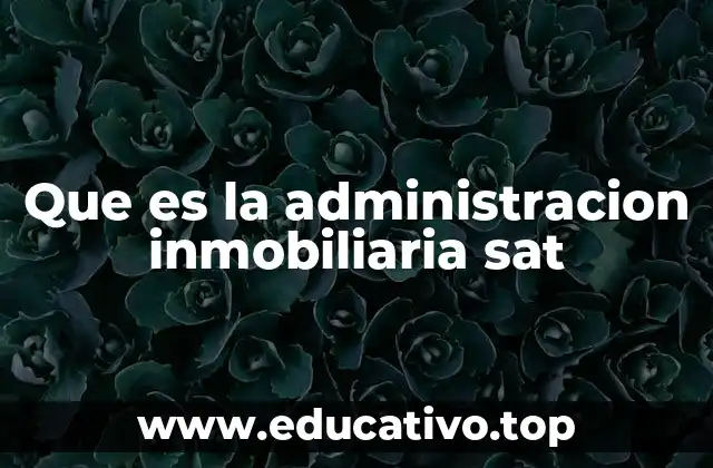 Que es la administracion inmobiliaria sat