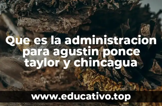 Que es la administracion para agustin ponce taylor y chincagua