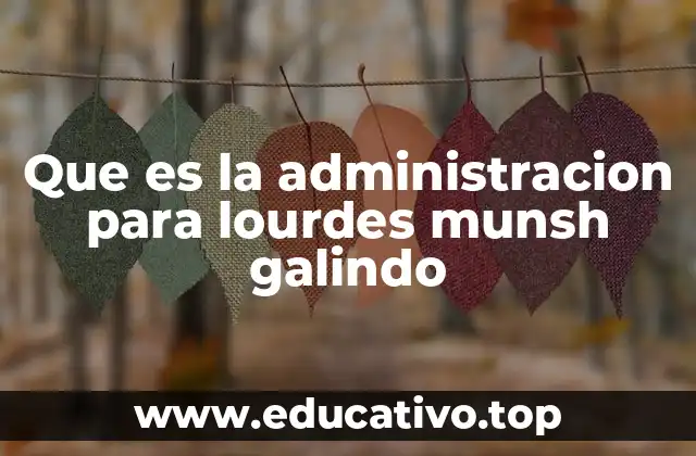 Que es la administracion para lourdes munsh galindo