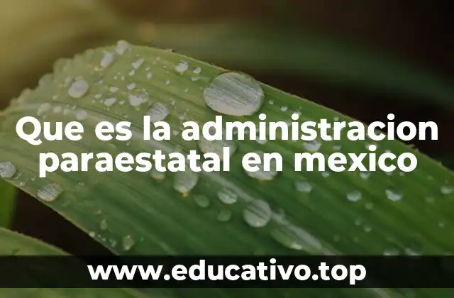 La importancia de las entidades paraestatales en la estructura pública mexicana