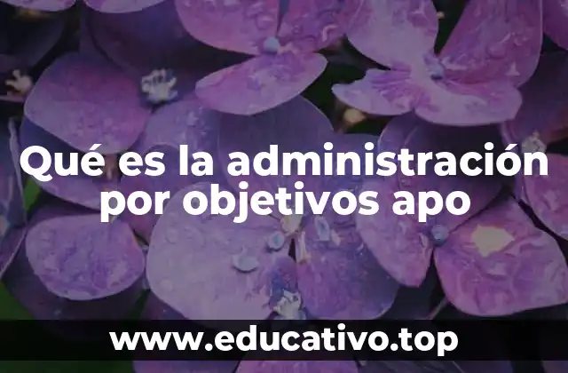 Qué es la administración por objetivos apo