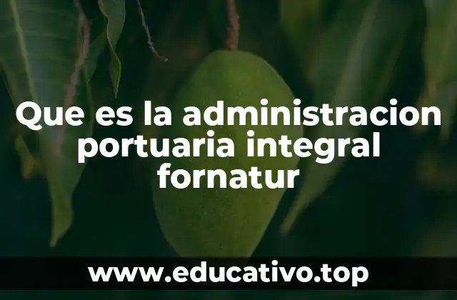 Que es la administracion portuaria integral fornatur