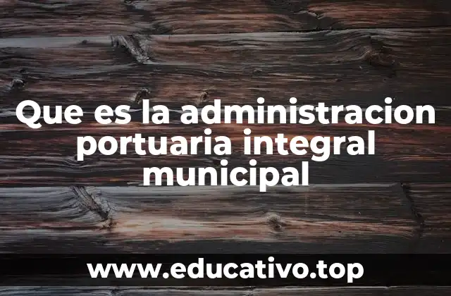 Que es la administracion portuaria integral municipal