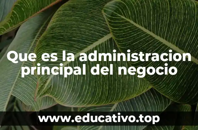Que es la administracion principal del negocio