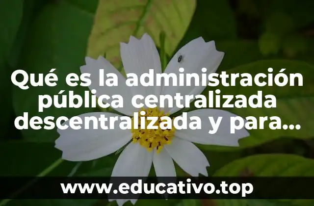 Qué es la administración pública centralizada descentralizada y para estatal