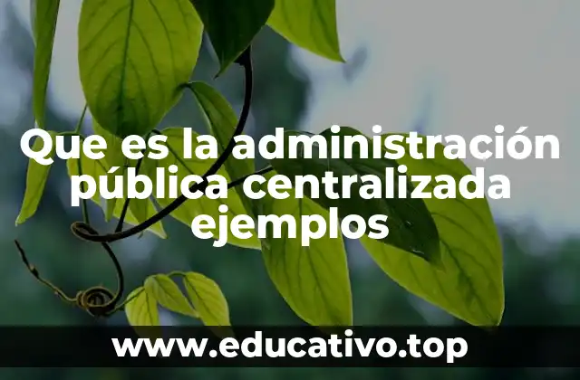 Características principales de la administración pública centralizada