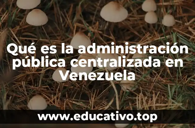 Qué es la administración pública centralizada en Venezuela