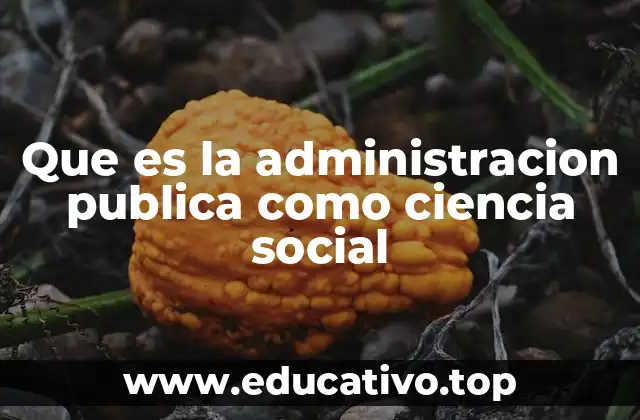 Que es la administracion publica como ciencia social