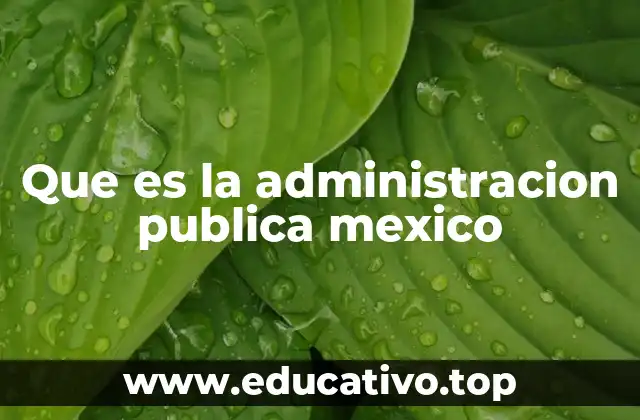 Que es la administracion publica mexico