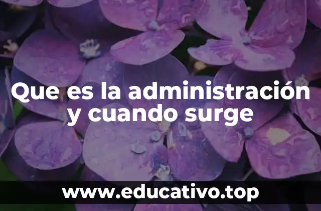 Que es la administración y cuando surge