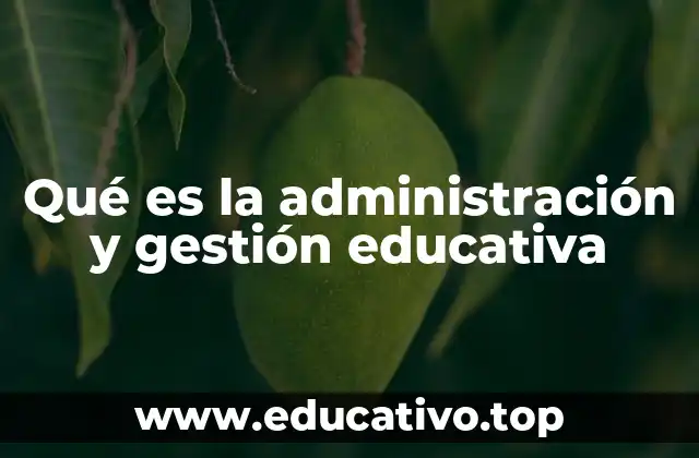 Qué es la administración y gestión educativa
