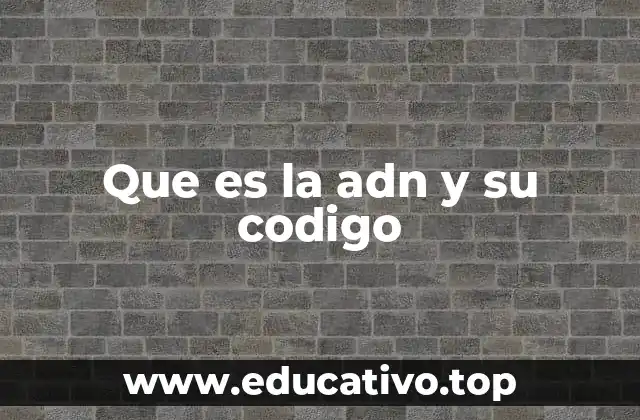 Que es la adn y su codigo
