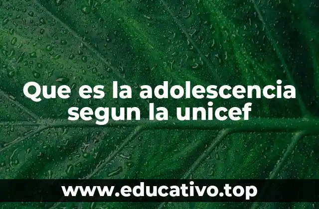 Que es la adolescencia segun la unicef