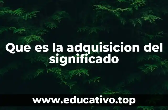 Que es la adquisicion del significado
